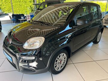 Gebrauchte Fiat Panda